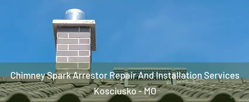 Chimney Spark Arrestor Repair And Installation Services Kosciusko - MO