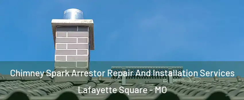 Chimney Spark Arrestor Repair And Installation Services Lafayette Square - MO