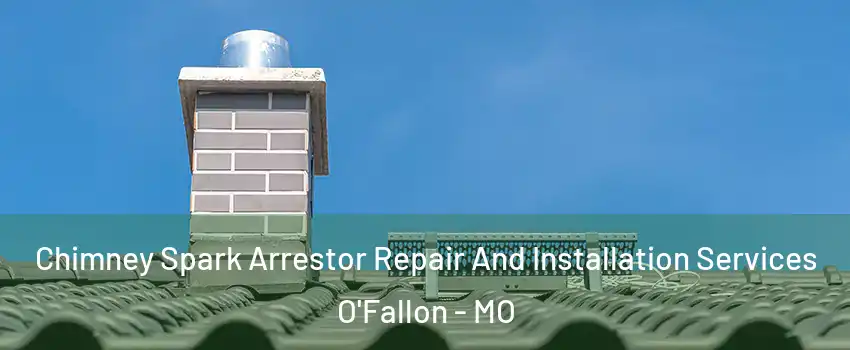 Chimney Spark Arrestor Repair And Installation Services O'Fallon - MO