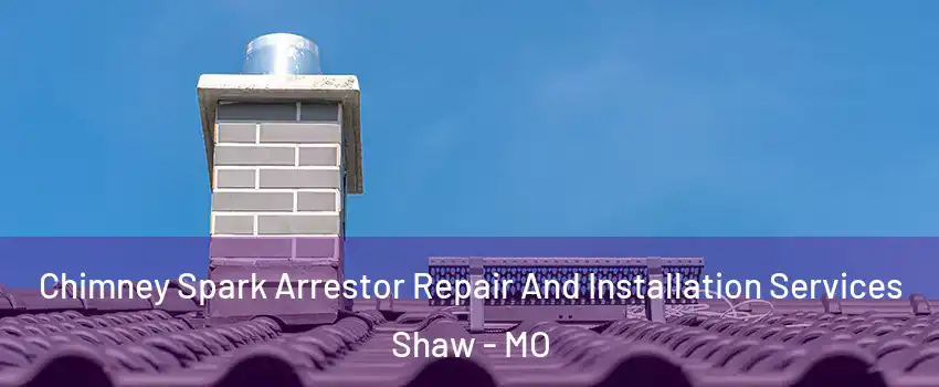 Chimney Spark Arrestor Repair And Installation Services Shaw - MO