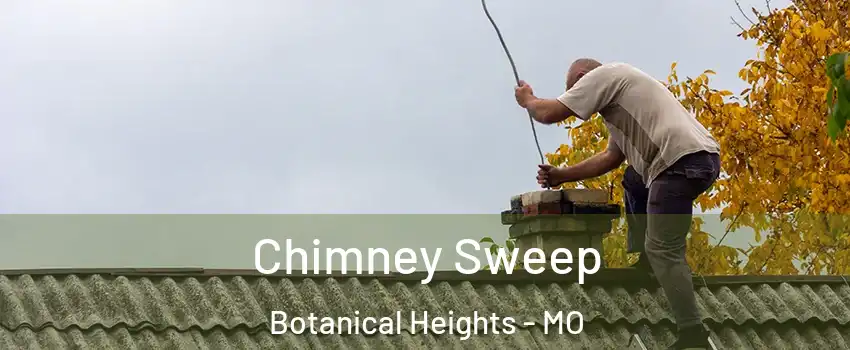 Chimney Sweep Botanical Heights - MO