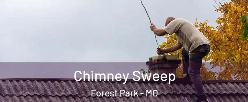 Chimney Sweep Forest Park - MO