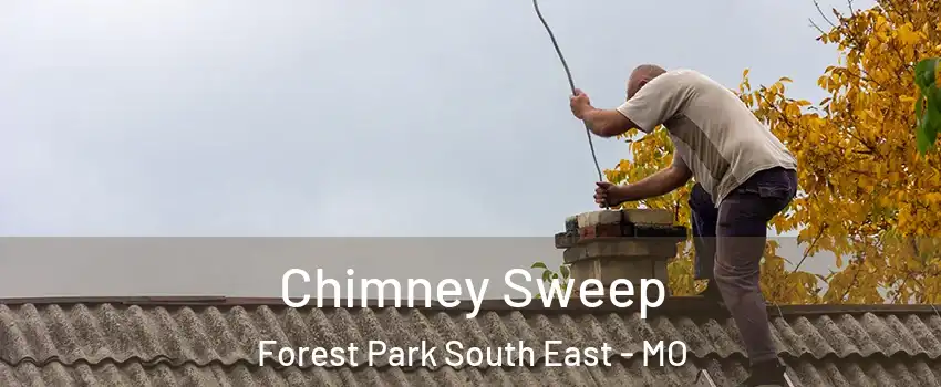 Chimney Sweep Forest Park South East - MO