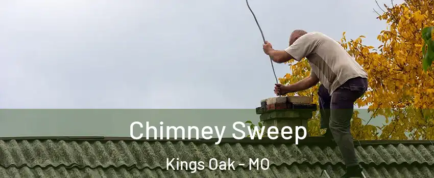 Chimney Sweep Kings Oak - MO