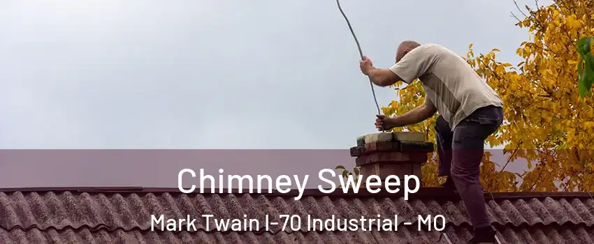 Chimney Sweep Mark Twain I-70 Industrial - MO