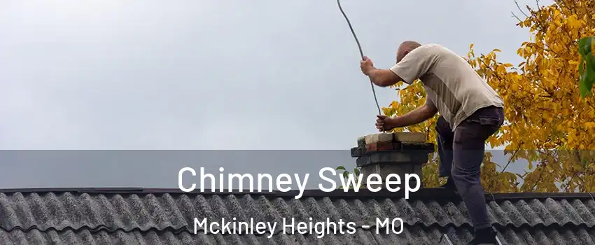 Chimney Sweep Mckinley Heights - MO