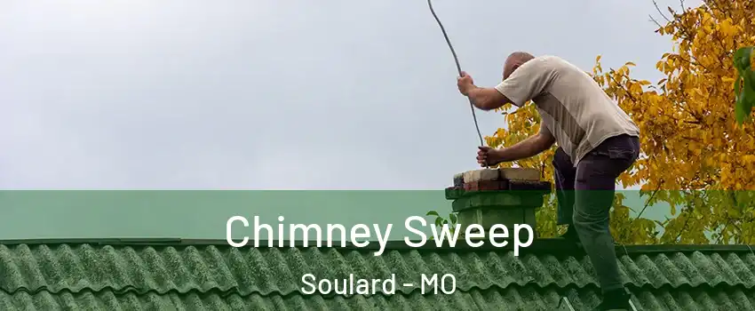 Chimney Sweep Soulard - MO