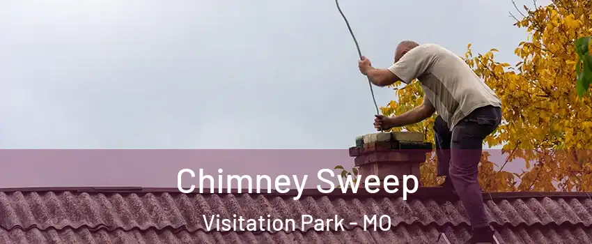 Chimney Sweep Visitation Park - MO