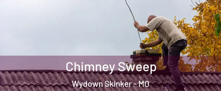 Chimney Sweep Wydown Skinker - MO