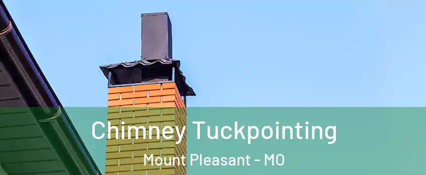 Chimney Tuckpointing Mount Pleasant - MO