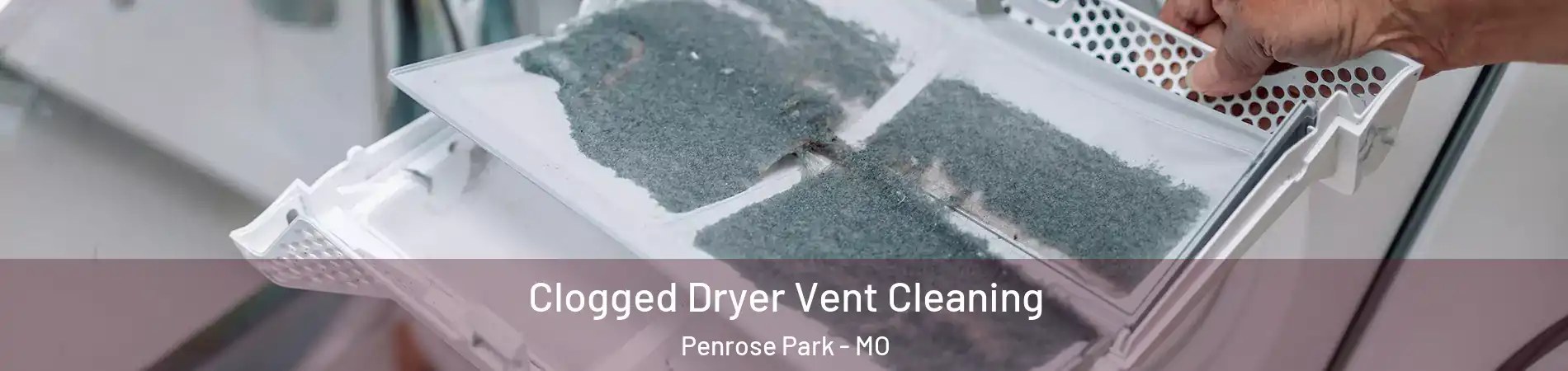 Clogged Dryer Vent Cleaning Penrose Park - MO