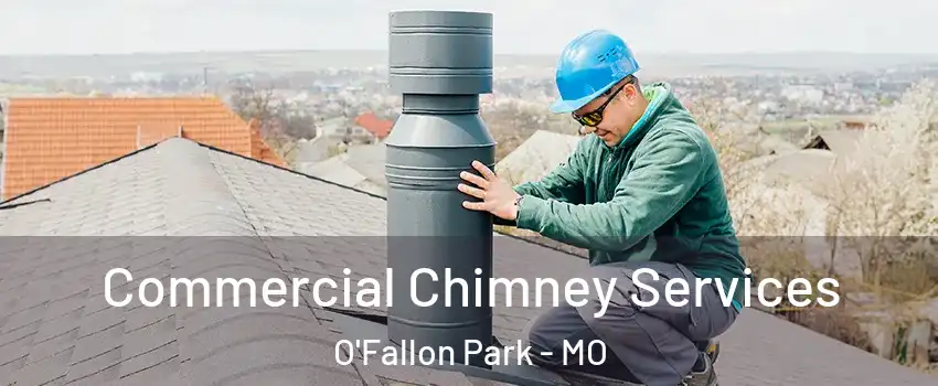 Commercial Chimney Services O'Fallon Park - MO