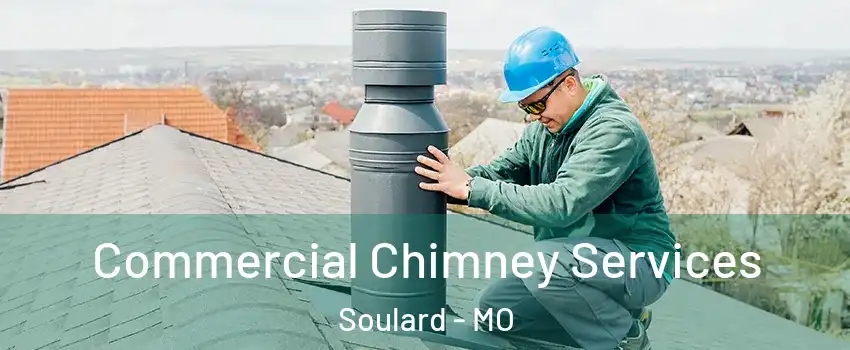 Commercial Chimney Services Soulard - MO