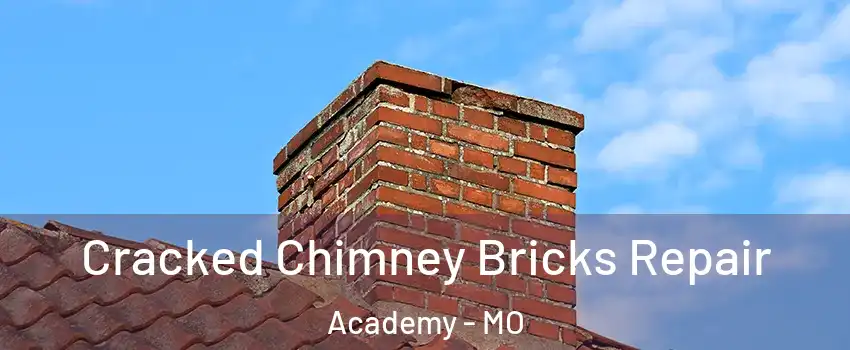 Cracked Chimney Bricks Repair Academy - MO