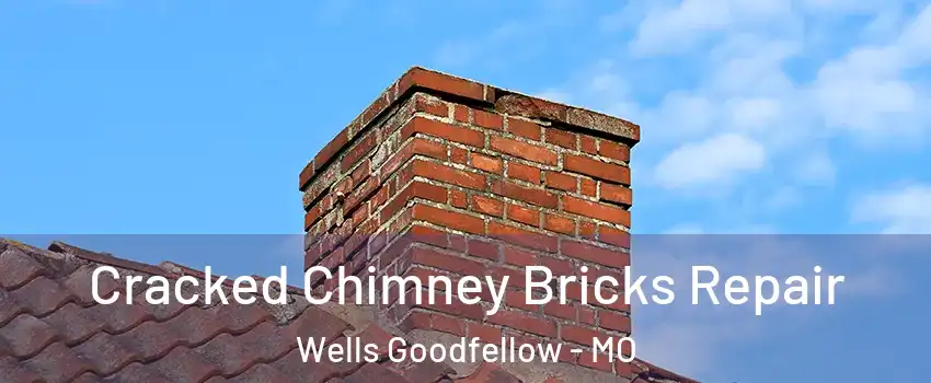 Cracked Chimney Bricks Repair Wells Goodfellow - MO