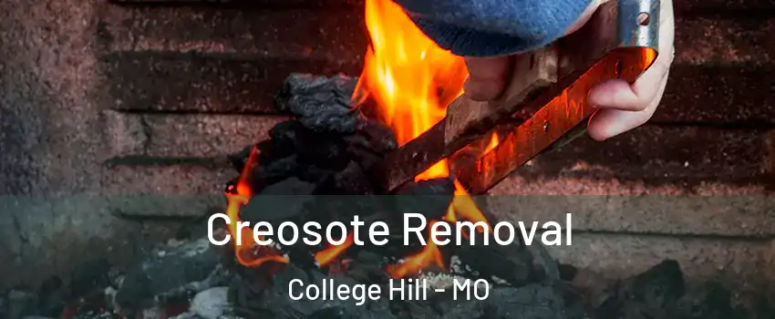 Creosote Removal College Hill - MO