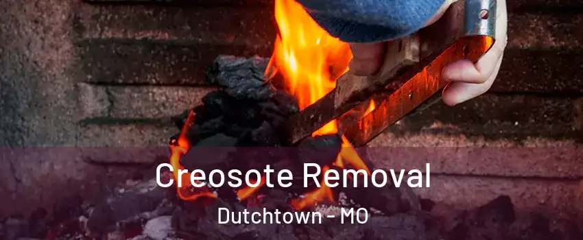 Creosote Removal Dutchtown - MO