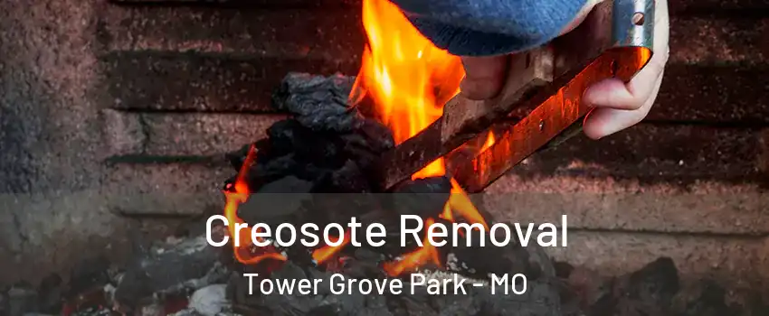 Creosote Removal Tower Grove Park - MO