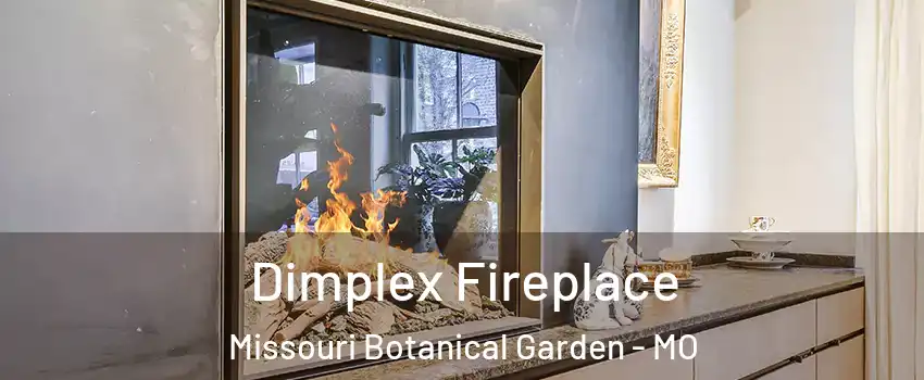 Dimplex Fireplace Missouri Botanical Garden - MO