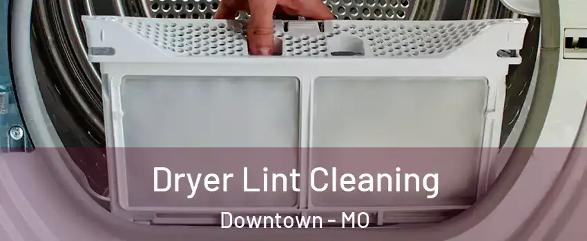 Dryer Lint Cleaning Downtown - MO