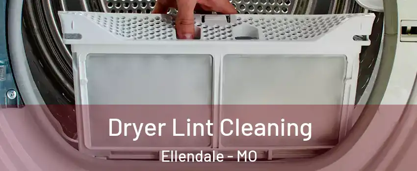 Dryer Lint Cleaning Ellendale - MO