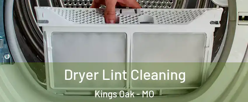 Dryer Lint Cleaning Kings Oak - MO