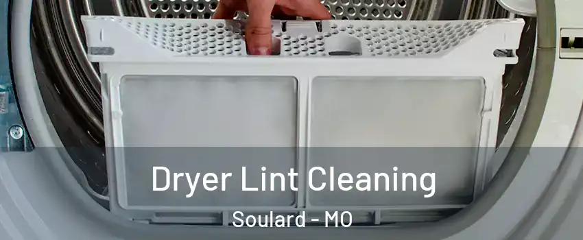 Dryer Lint Cleaning Soulard - MO