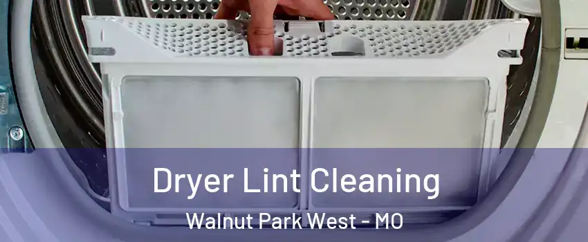 Dryer Lint Cleaning Walnut Park West - MO