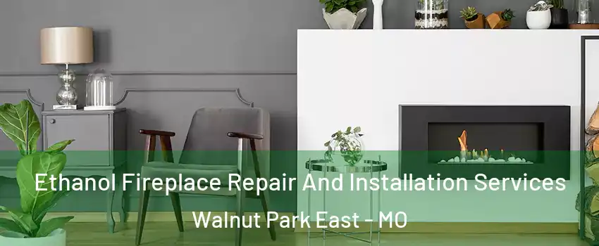 Ethanol Fireplace Repair And Installation Services Walnut Park East - MO