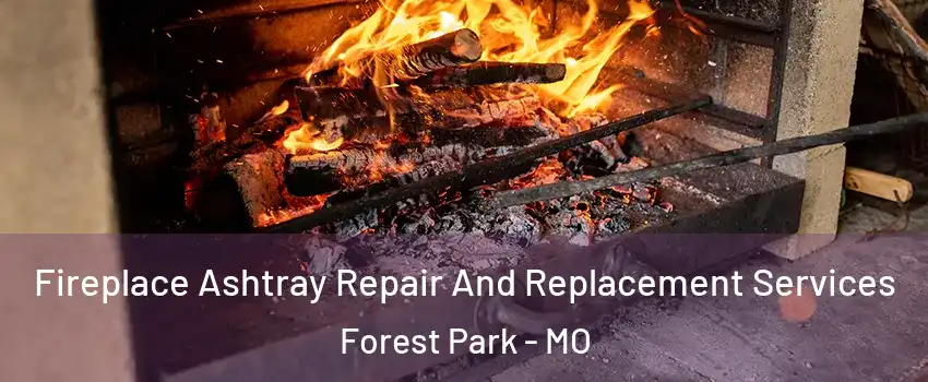 Fireplace Ashtray Repair And Replacement Services Forest Park - MO