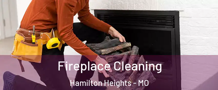 Fireplace Cleaning Hamilton Heights - MO