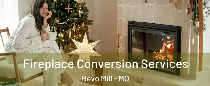 Fireplace Conversion Services Bevo Mill - MO