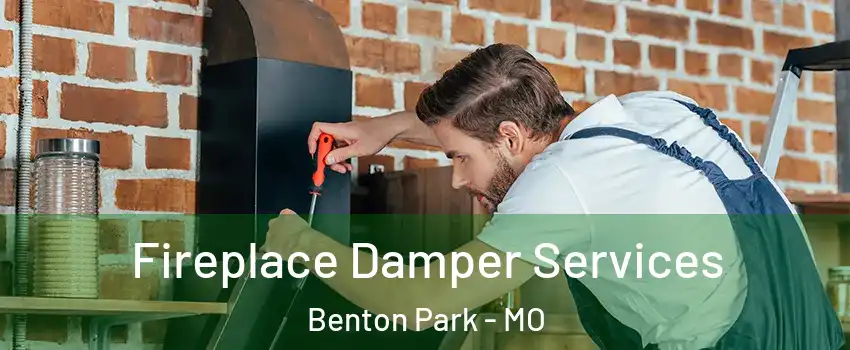 Fireplace Damper Services Benton Park - MO