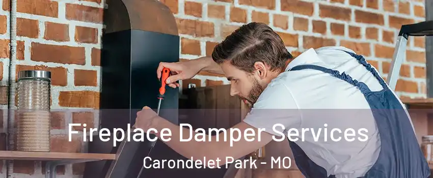 Fireplace Damper Services Carondelet Park - MO