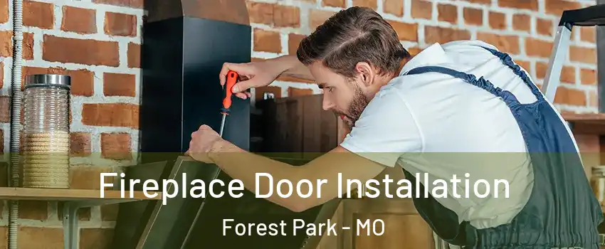 Fireplace Door Installation Forest Park - MO