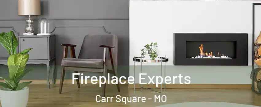 Fireplace Experts Carr Square - MO