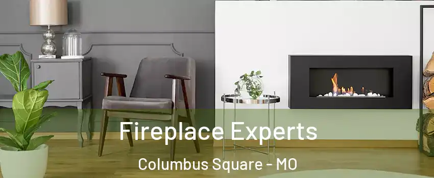 Fireplace Experts Columbus Square - MO