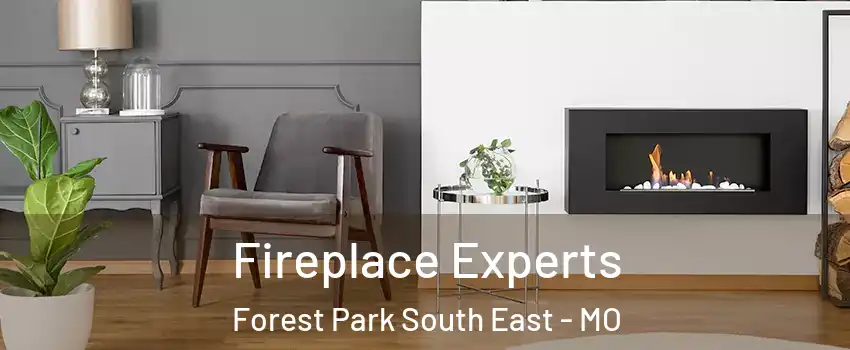 Fireplace Experts Forest Park South East - MO