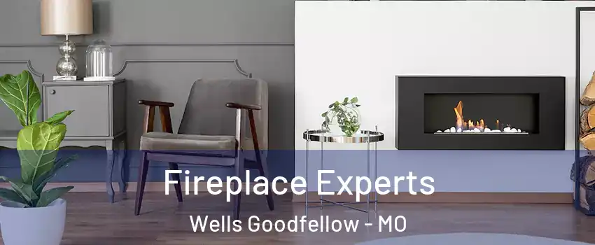 Fireplace Experts Wells Goodfellow - MO