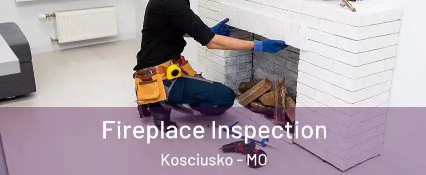 Fireplace Inspection Kosciusko - MO