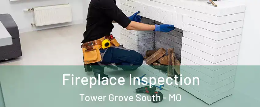 Fireplace Inspection Tower Grove South - MO