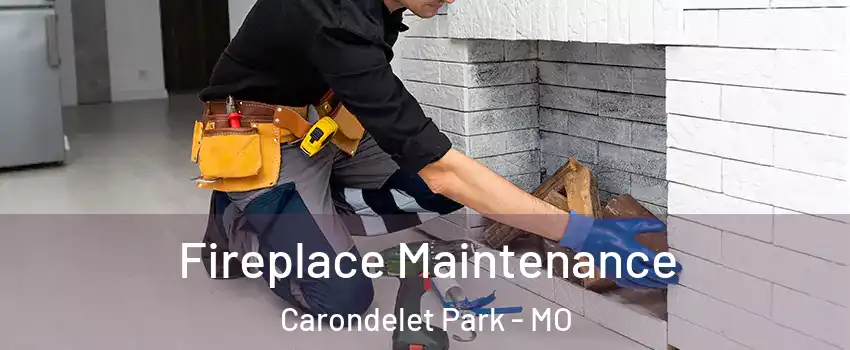 Fireplace Maintenance Carondelet Park - MO