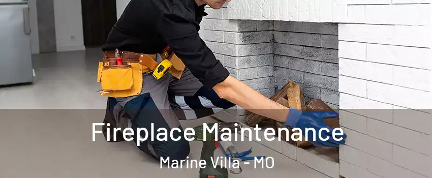 Fireplace Maintenance Marine Villa - MO