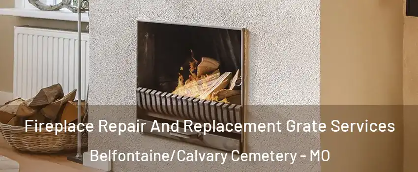 Fireplace Repair And Replacement Grate Services Belfontaine/Calvary Cemetery - MO