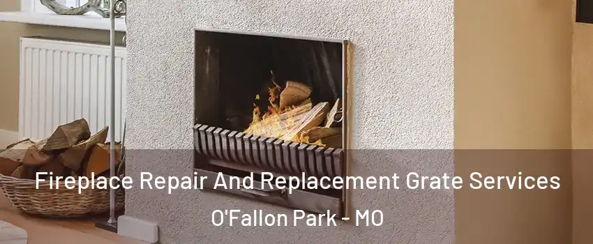 Fireplace Repair And Replacement Grate Services O'Fallon Park - MO