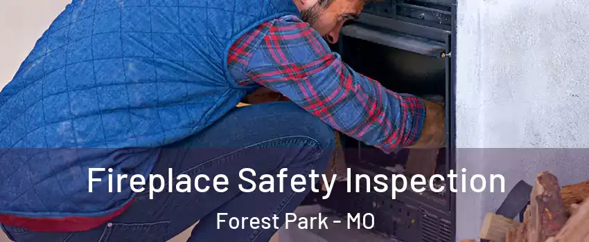 Fireplace Safety Inspection Forest Park - MO