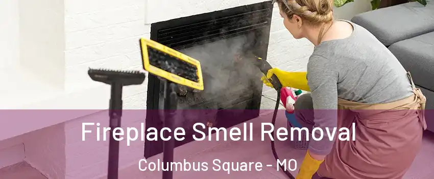 Fireplace Smell Removal Columbus Square - MO