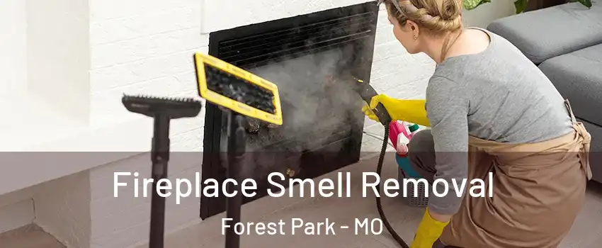 Fireplace Smell Removal Forest Park - MO