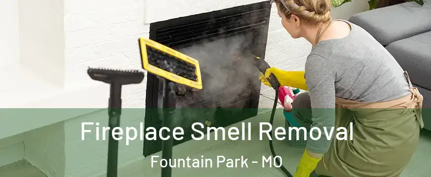 Fireplace Smell Removal Fountain Park - MO