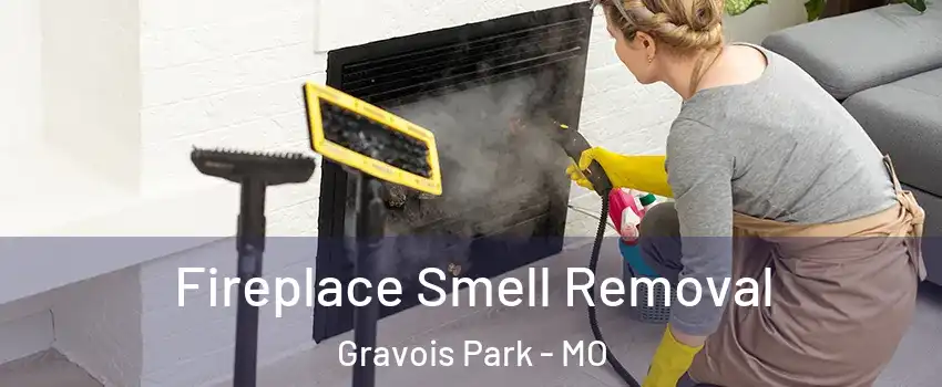 Fireplace Smell Removal Gravois Park - MO